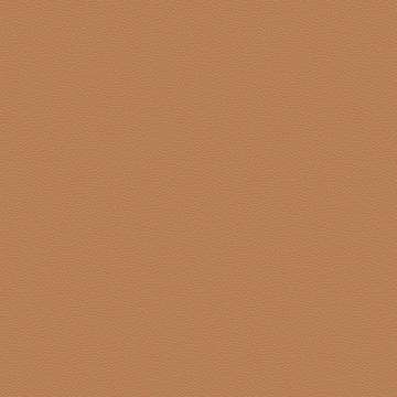 Prone Leather