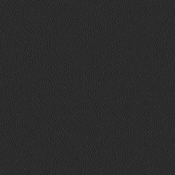Raise Leather Black