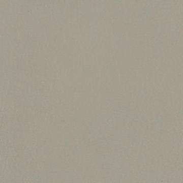Fortis Leather Bone