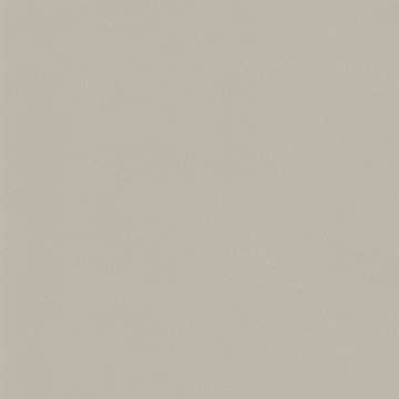 Merinos Pearl Leather Champagne