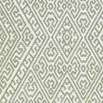 Athena Olive Tree