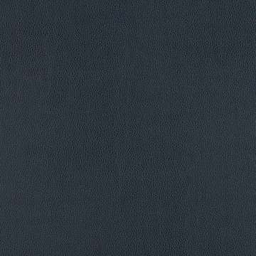 Buckaroo Blue Book