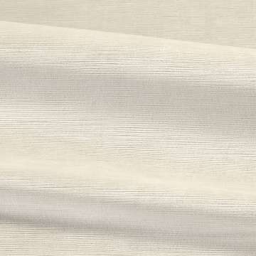 Lucid Lines Papyrus