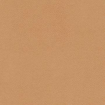 Mooskin Antique