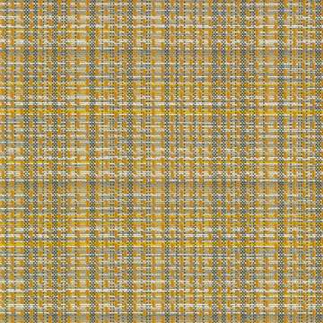 Plaid-itude