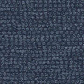 Polka Blue Moon