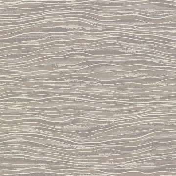 Sand Wave Delta