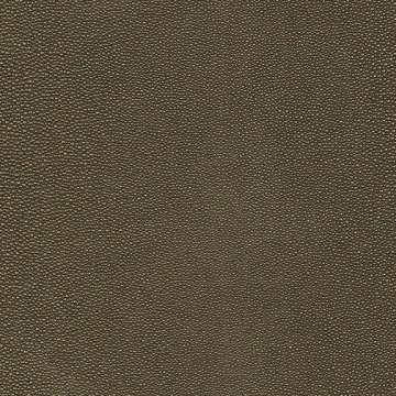 Shagreen