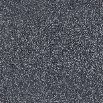 Shagreen