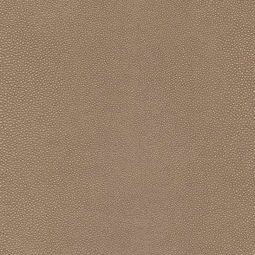 Shagreen Chai