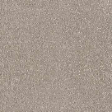 Shagreen