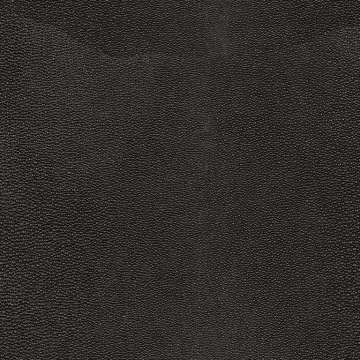 Shagreen