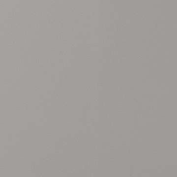 Silicone Prime Ash