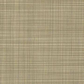Strand Bamboo