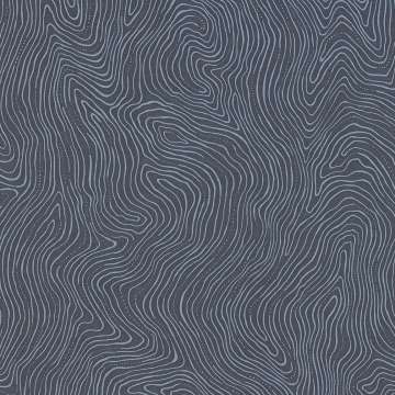 Topography Superior