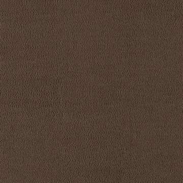 Western Willie Black Coffee