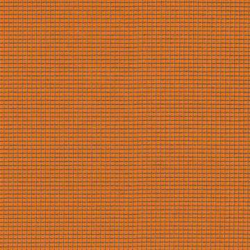 Zoom Burst