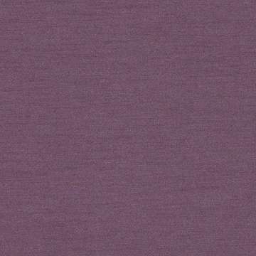 Nishiki 2.0 Plum