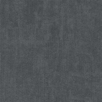 Northampton Anthracite
