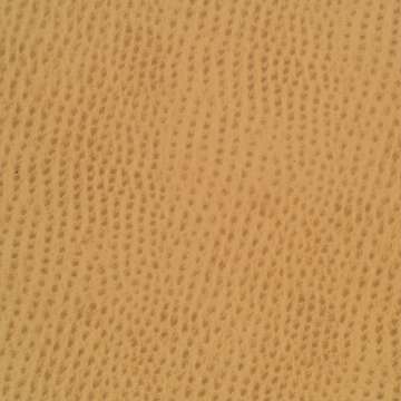 Outback