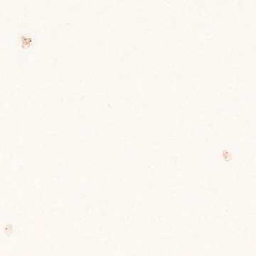 Parchment Parchment