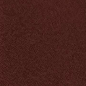 Prince Leather