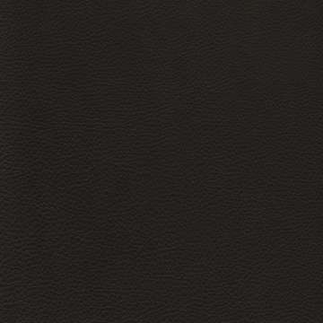Prince Leather Castellan