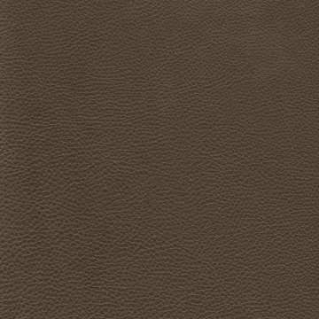 Prince Leather