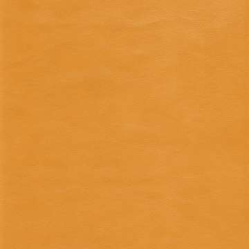 Ranch Leather