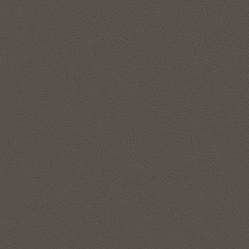 Apollo Silicone