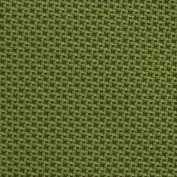 Nifty Alligator