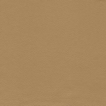 Safari Signature Bark