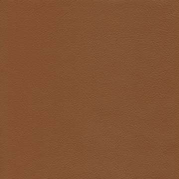 Safari Signature Leather