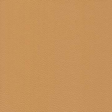 Strato Leather