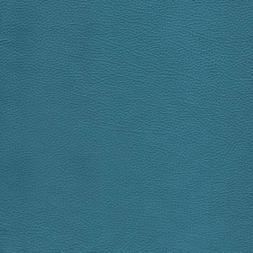 Tango Leather