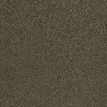Tango Leather