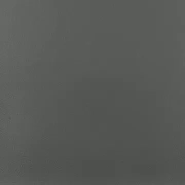 Layer