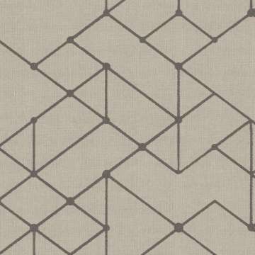 Vector
