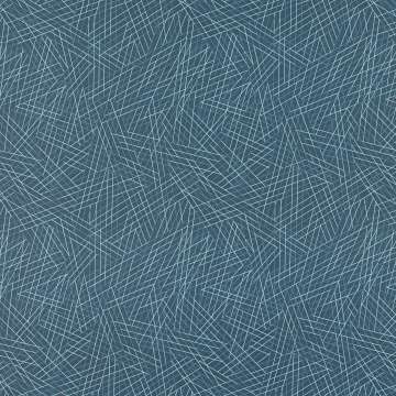 Vector
