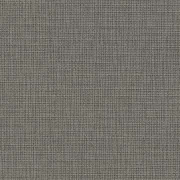 Winfield Graphite