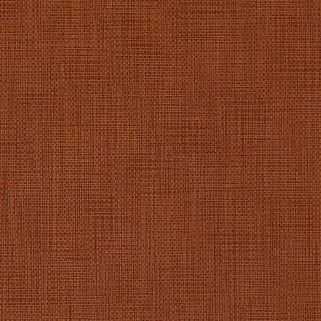 Beeline EPU Autumn 