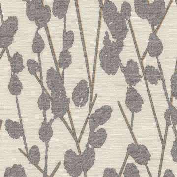 Cotton Cv
