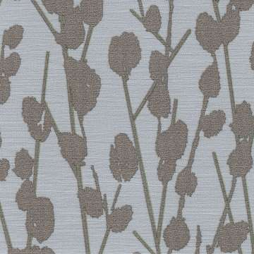 Cotton Cv