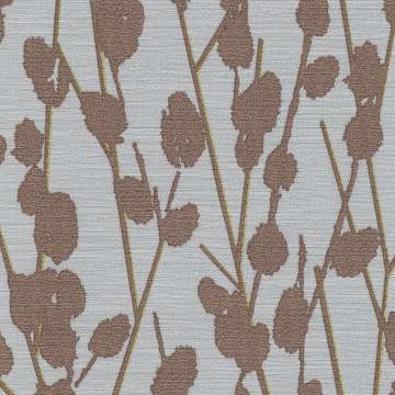 Cotton Cv