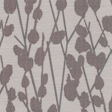 Cotton Cv