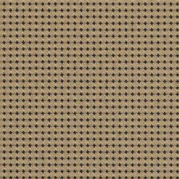 Expo