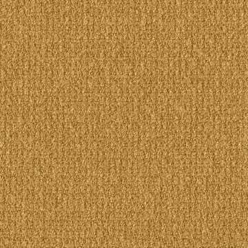 Forest Floor Midas
