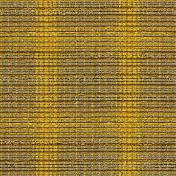 Just Add Plaid 501