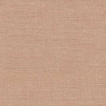 Linen Cv