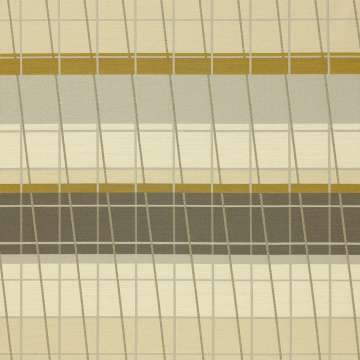 Lines On Stripes 490